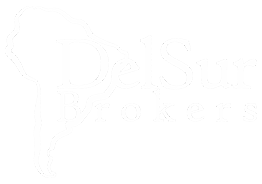 logo delsurbrokers