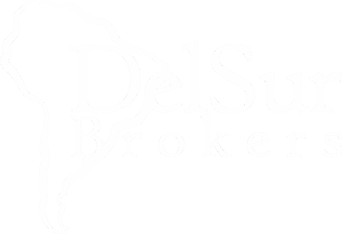 delsur brokers